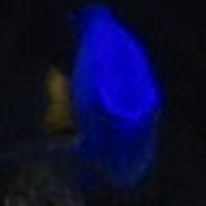 Meet your Posher, Jenelle